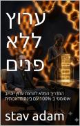 ערוץ ללא פנים